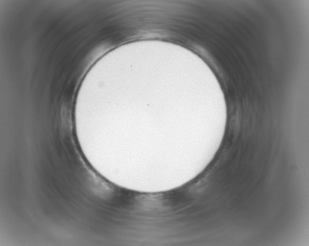 X0000082150810200702021633