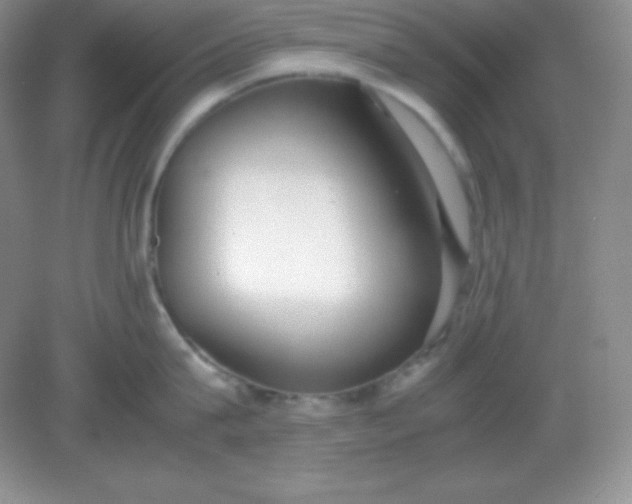 X0000082150815200702021633