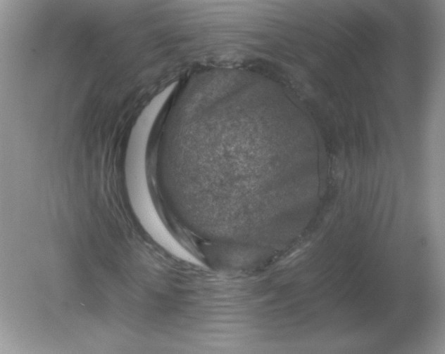X0000082150818200702021632
