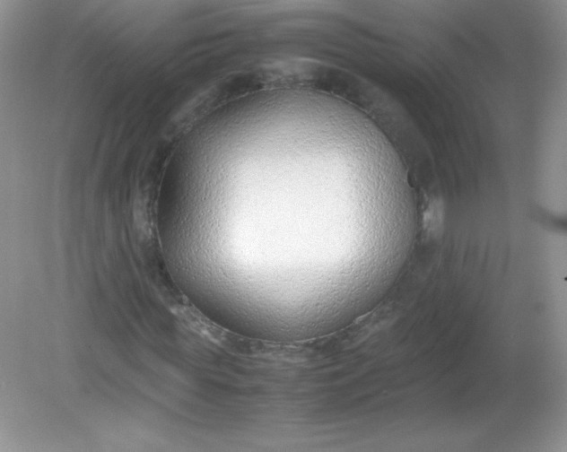 X0000082150819200702021632