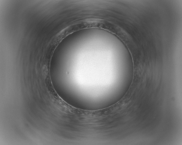 X0000082150821200702021632