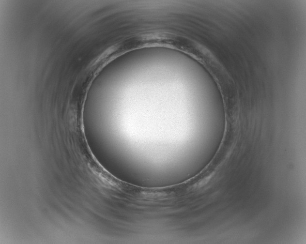 X0000082150825200702021632
