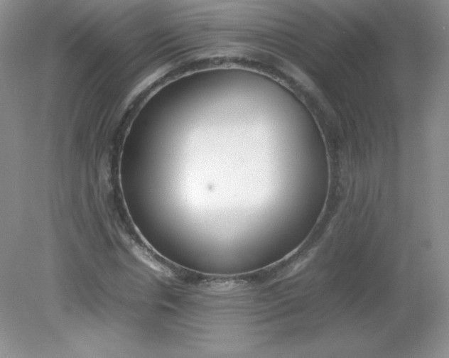 X0000082150826200702021632
