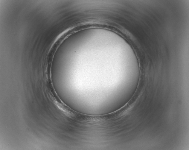 X0000082150830200702021633