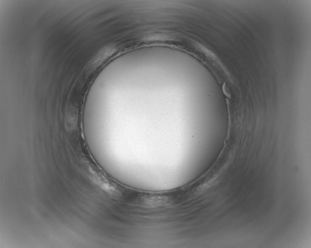 X0000082150833200702021633