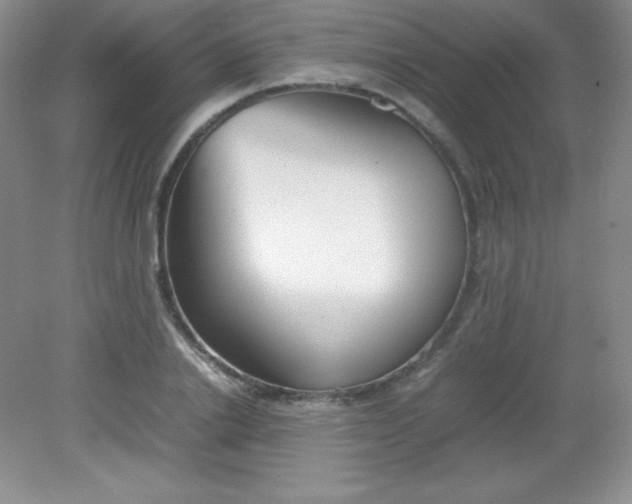 X0000082150838200702021633
