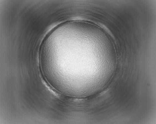 X0000082150839200702021633