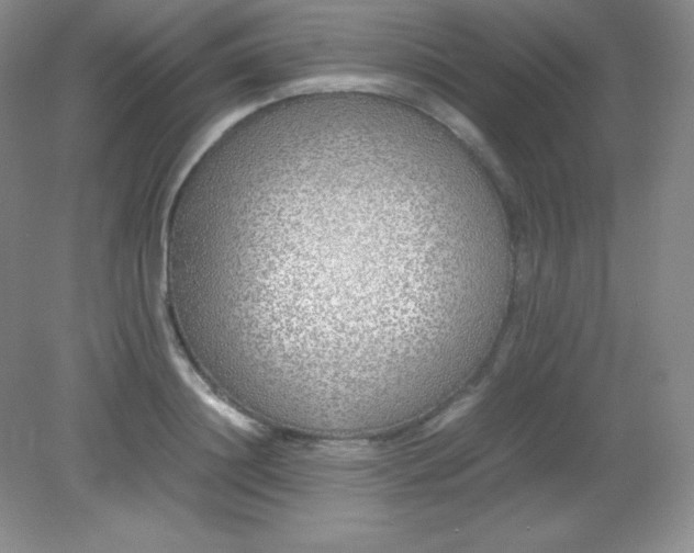 X0000082150844200702021633