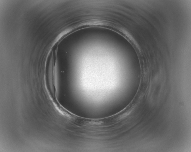 X0000082150845200702021633