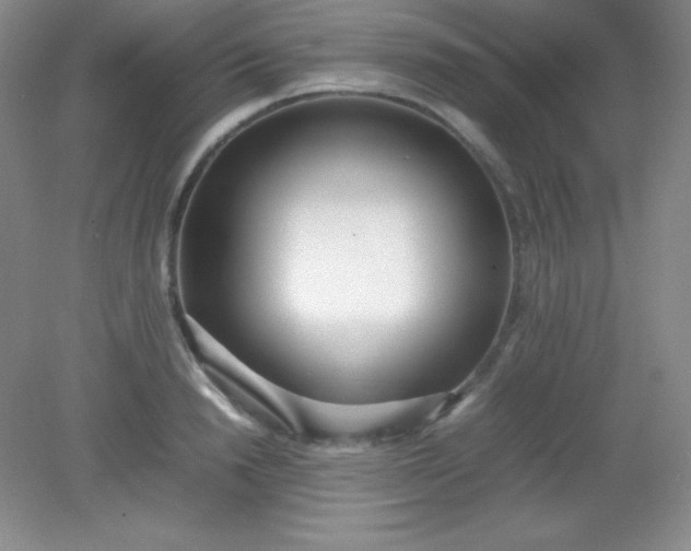 X0000082150846200702021633