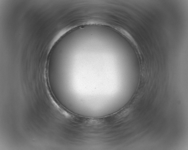 X0000082150847200702021633