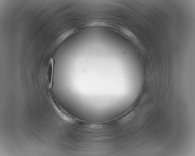 X0000082150849200702021633