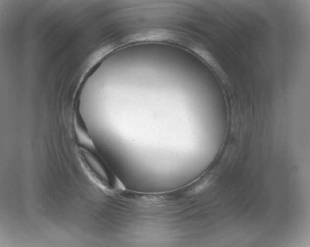 X0000082150850200702021633