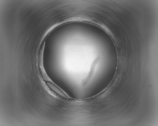 X0000082150854200702021633