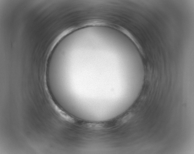 X0000082150861200702021633