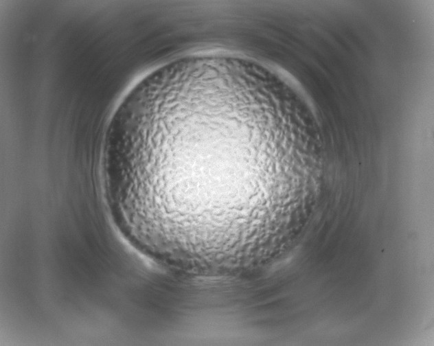 X0000082150863200702021633