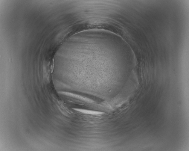 X0000082150868200702021632
