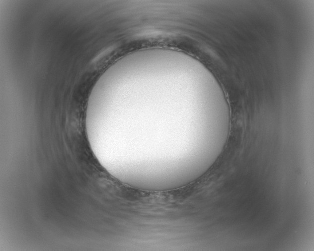 X0000082150869200702021632