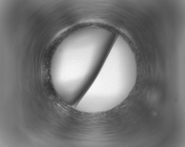 X0000082150872200702021632