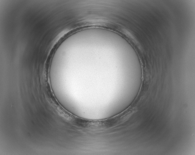 X0000082150883200702021632