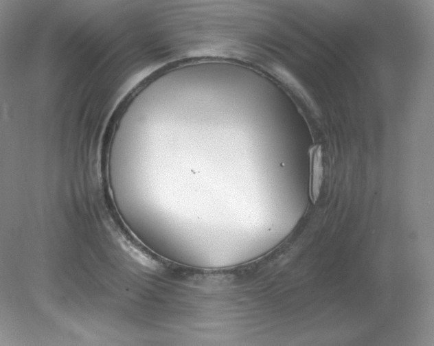 X0000082150884200702021632