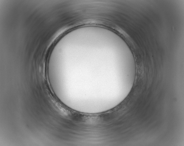 X0000082150886200702021632