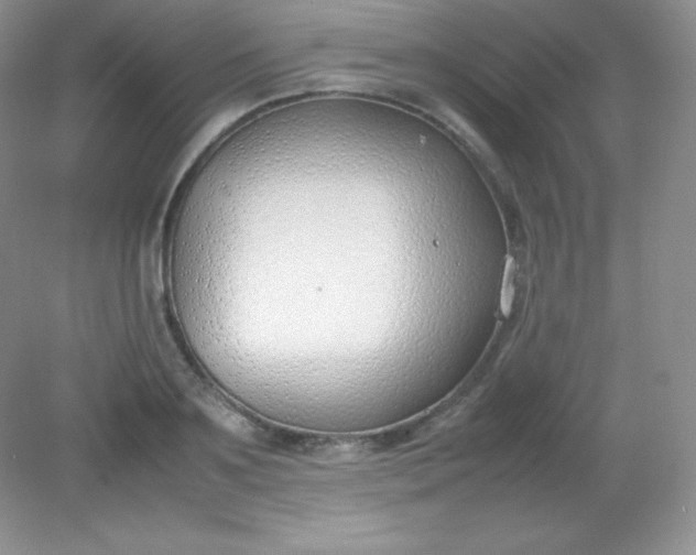 X0000082150891200702021632