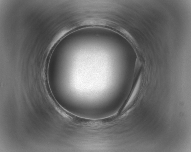 X0000082150893200702021632
