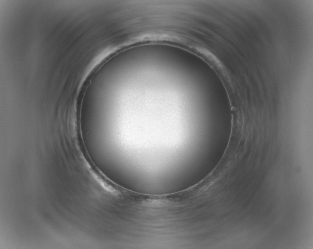 X0000082150894200702021632