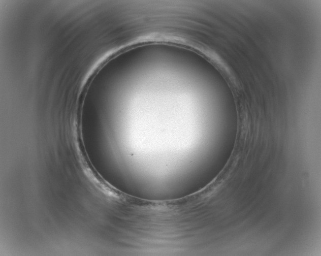 X0000082150896200702021632