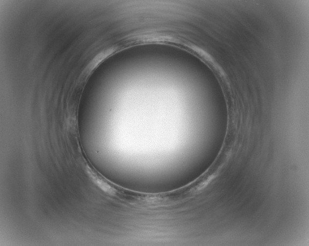 X0000082150897200702021632