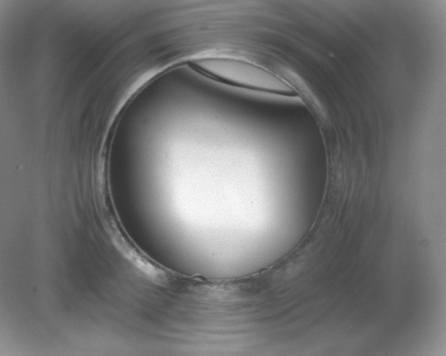X0000082150900200702021632