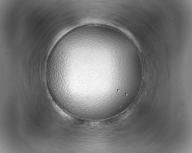X0000082150903200702021632