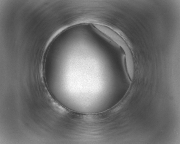 X0000082150904200702021632