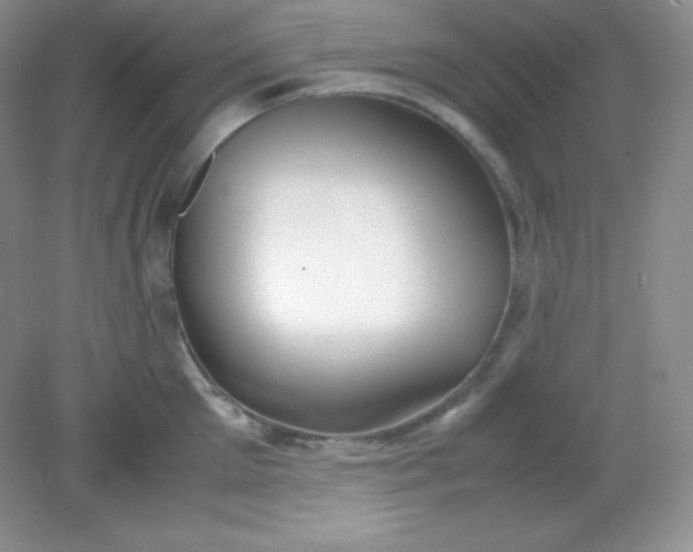 X0000082150905200702021632