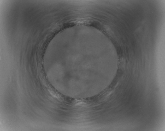 X0000082150913200702021631