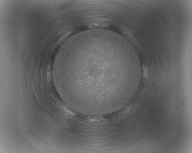 X0000082150915200702021631