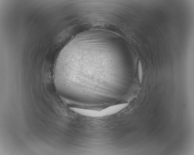 X0000082150916200702021631