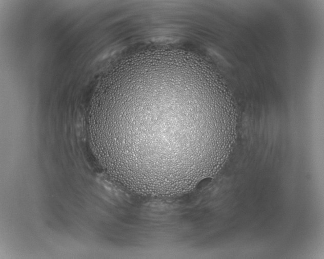X0000082150917200702021631