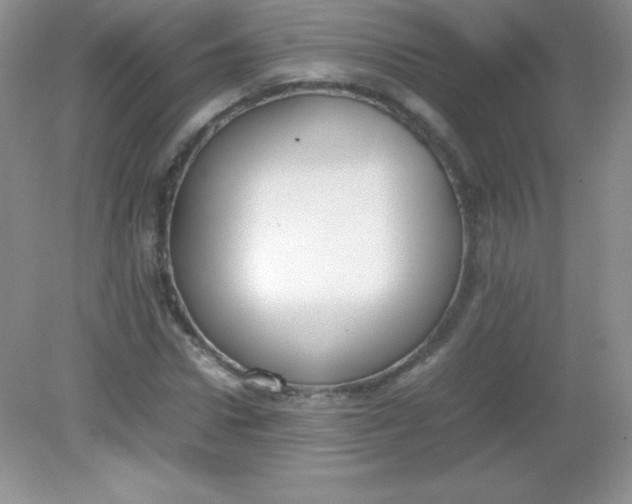 X0000082150922200702021631