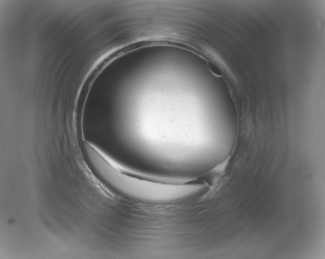 X0000082150932200702021631