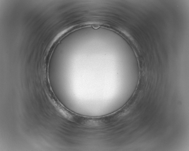 X0000082150933200702021631