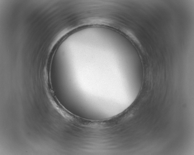 X0000082150936200702021631