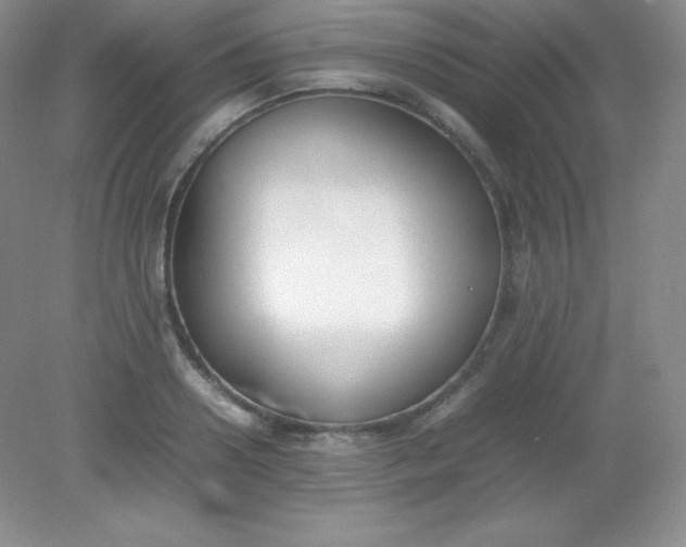 X0000082150938200702021631