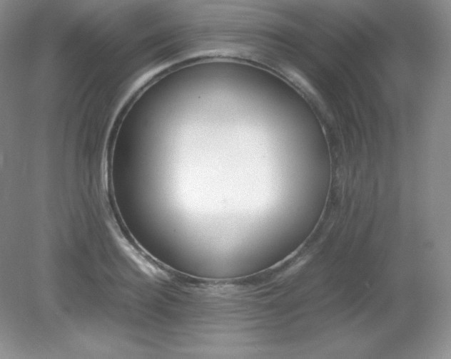 X0000082150940200702021631