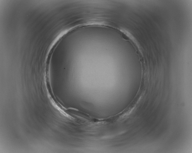 X0000082150941200702021631