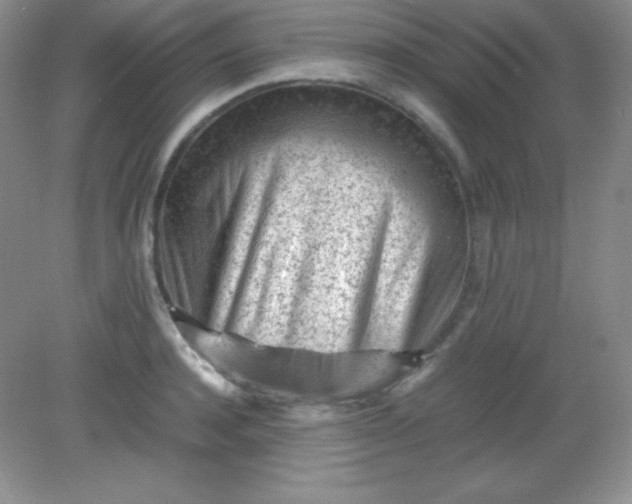 X0000082150944200702021631