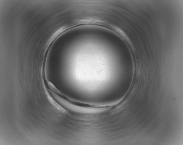 X0000082150946200702021631