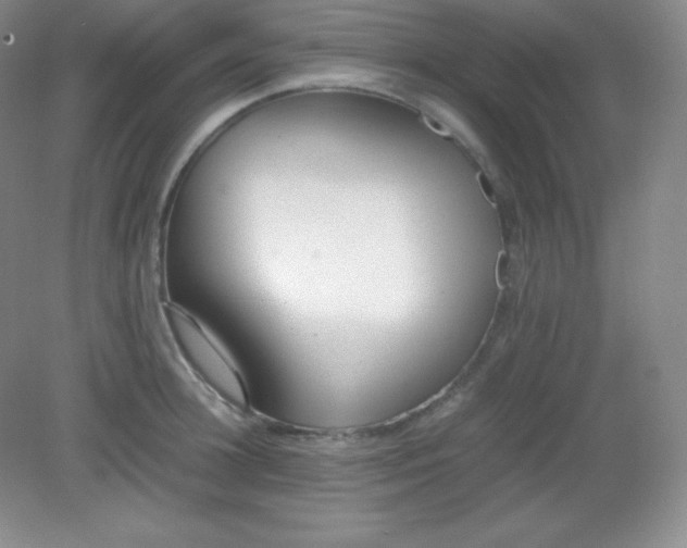 X0000082150948200702021631