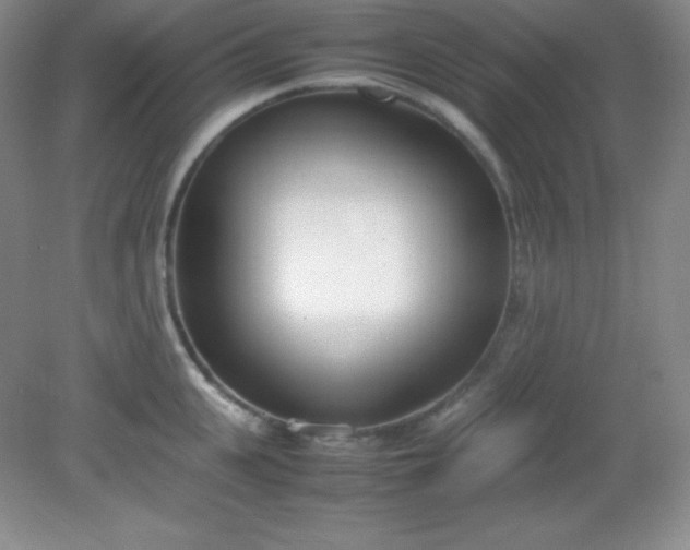 X0000082150951200702021631